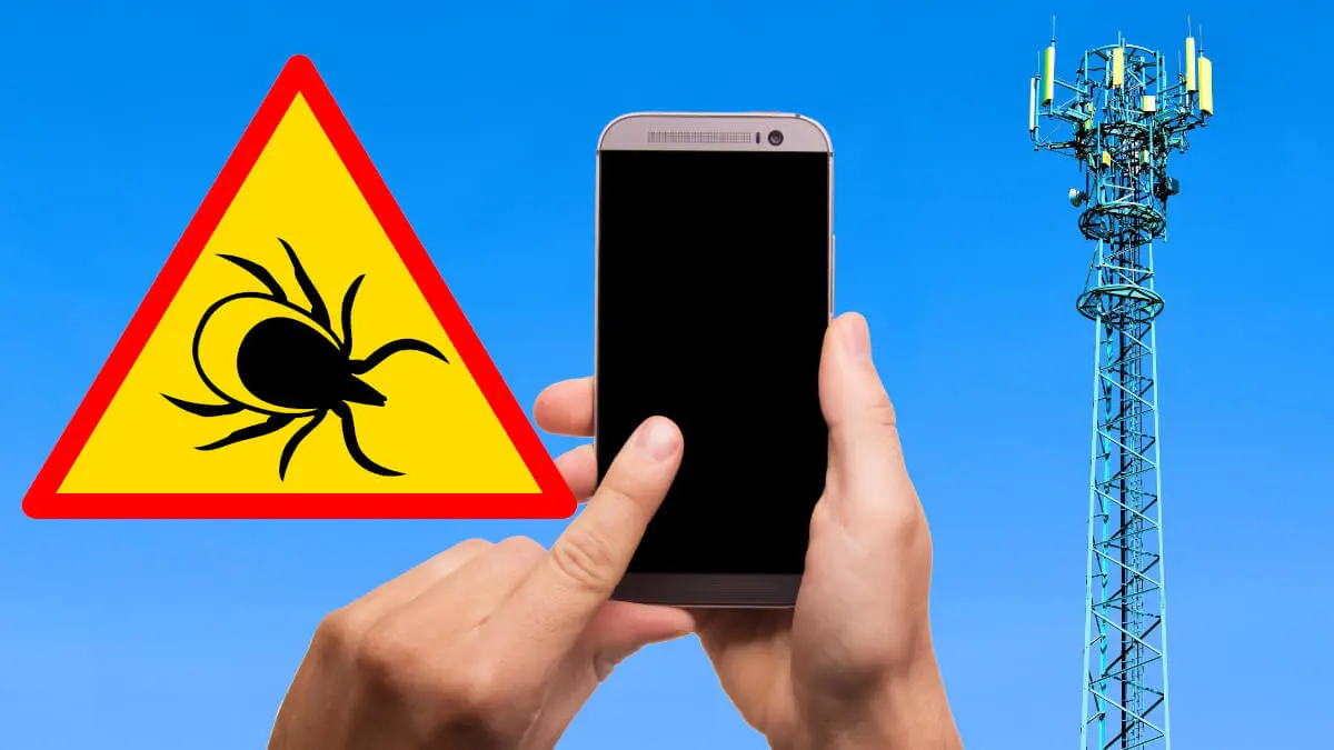 Smartfony i sieć 5G przyciągają kleszcze? Kolejny mit, w który nie należy wierzyć