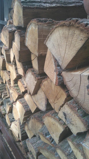 sony-xperia-m4-aqua camera sample 004 mini