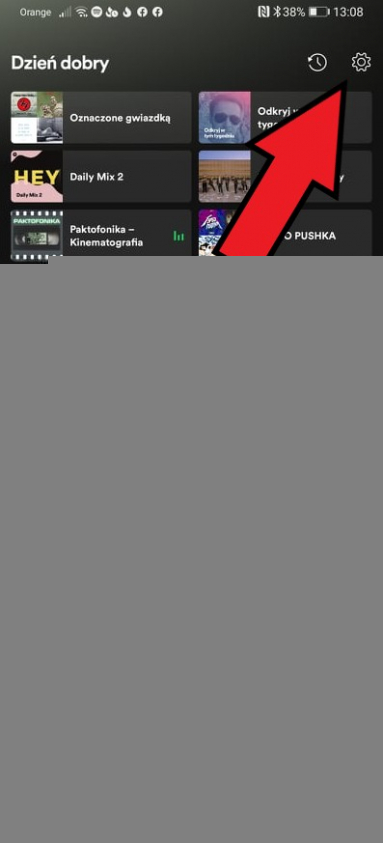 spotify jakosc dzwieku 3