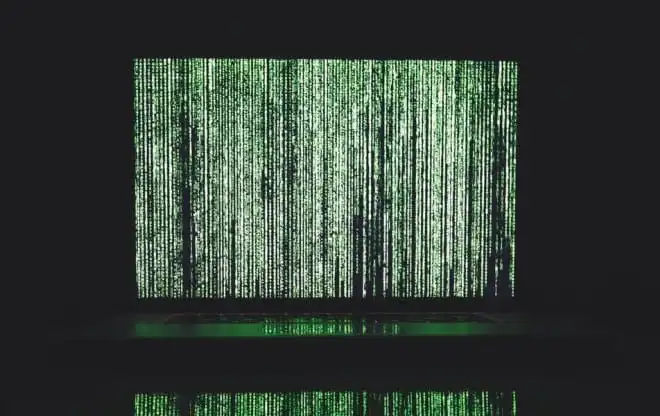 Firma hostingowa zapłaciła ogromny okup, by ratować dane swoich klientów