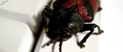 Nowe komputery PC zainfekowane w Chinach