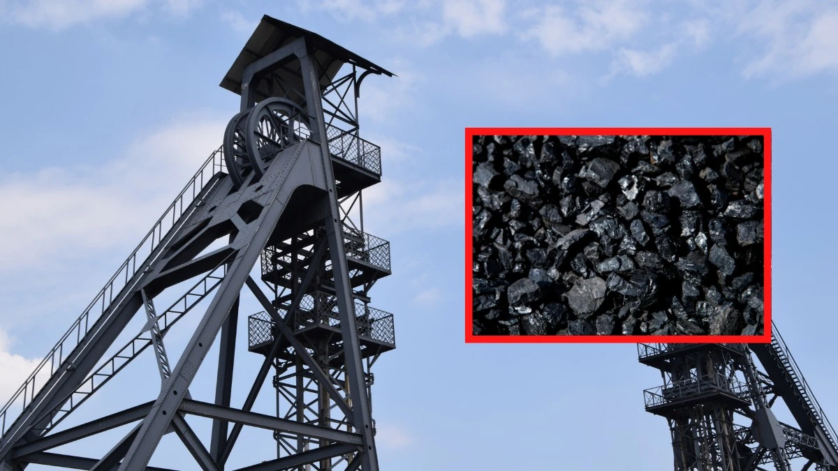 Gdzie zamówić tani węgiel online? Uważaj na fałszywe sklepy