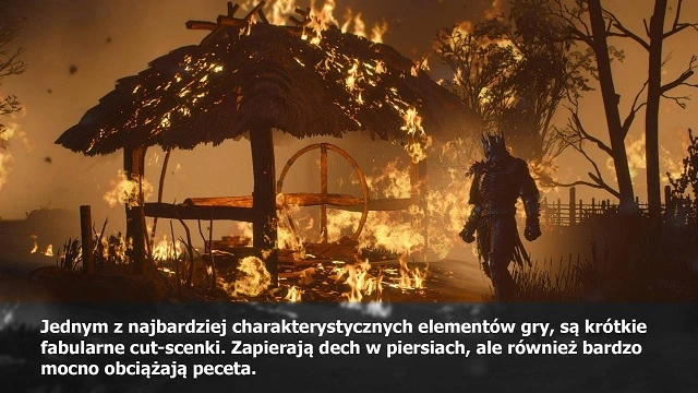 wiedzmin plex 2