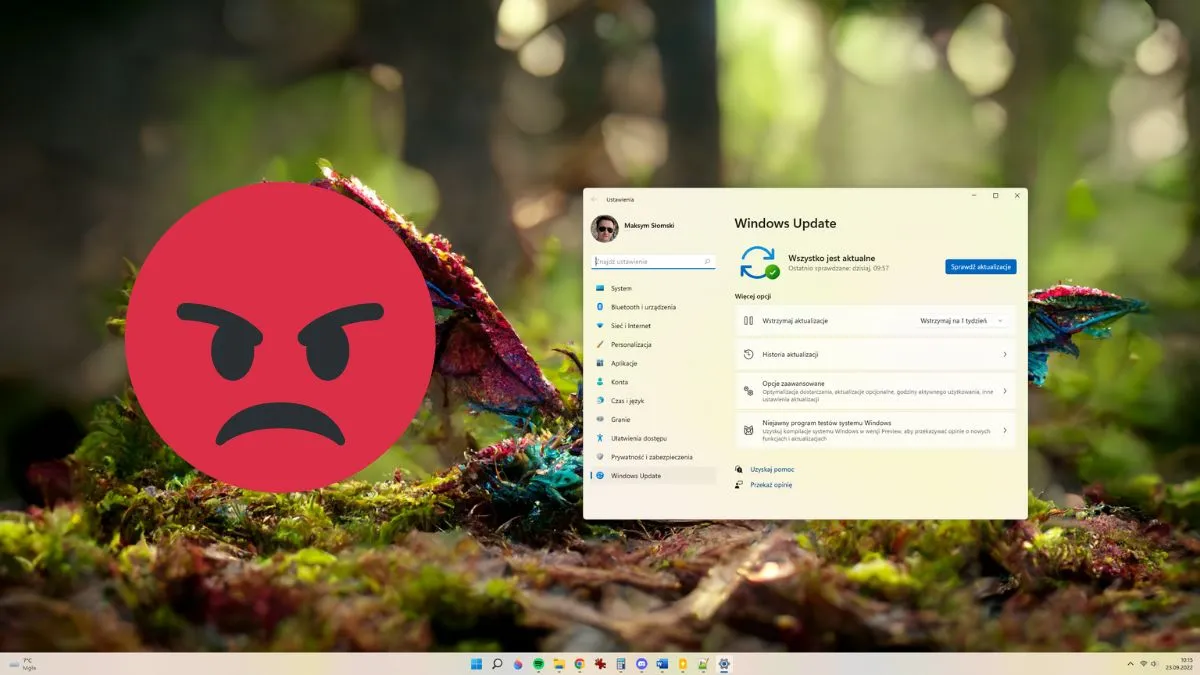 Aktualizacja Windows 11 22H2 (KB5016695) rujnuje wydajność. Gracze wściekli