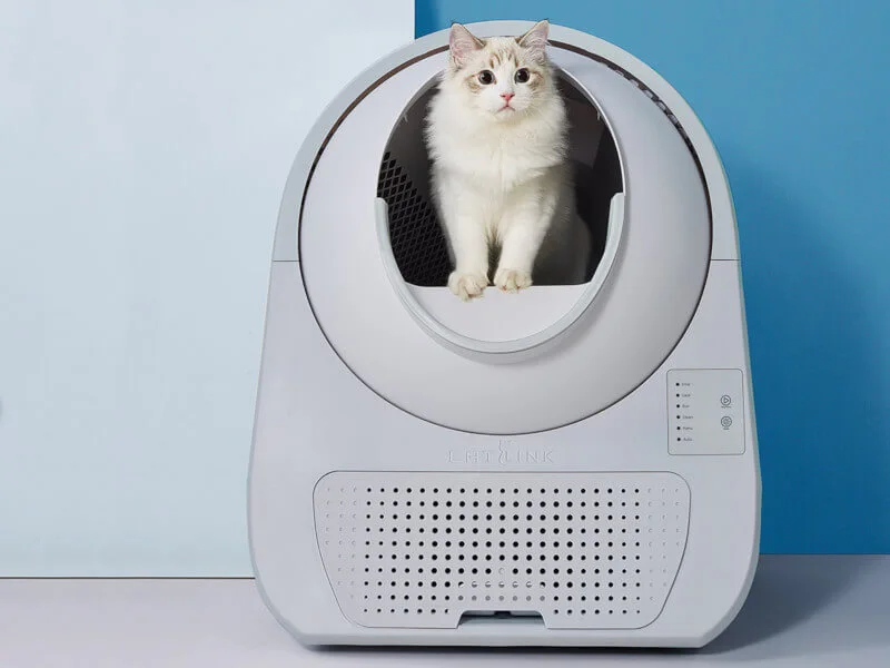 Twój kot też mówiłby Xiaomi lepsze. Smart kuweta Youpin CATLINK Automatic Litter Box Youth