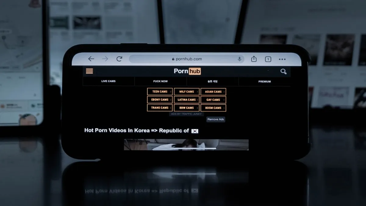 Stało się. W Luizjanie nie skorzystasz już z Pornhuba bez weryfikacji dokumentu